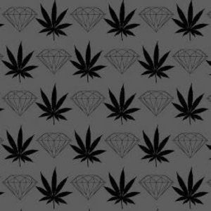 Meet your Posher, Tommy